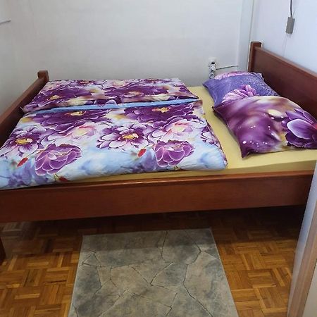 Terme Catez Apartma Nine Catez ob Savi Exteriör bild