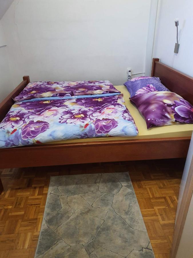 Terme Catez Apartma Nine Catez ob Savi Exteriör bild