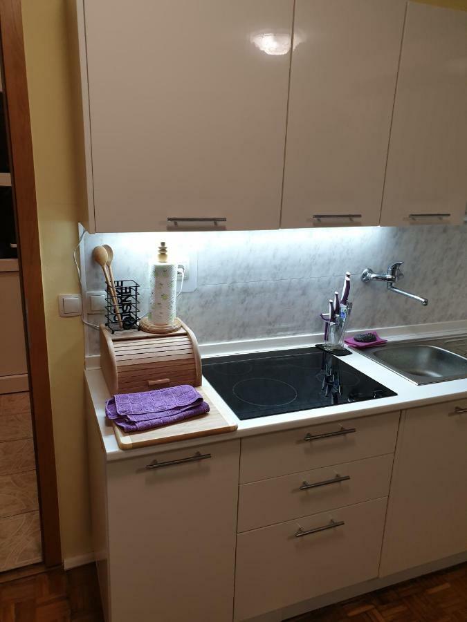 Terme Catez Apartma Nine Catez ob Savi Exteriör bild