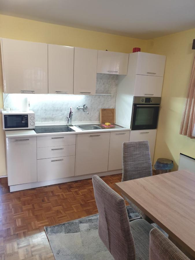 Terme Catez Apartma Nine Catez ob Savi Exteriör bild