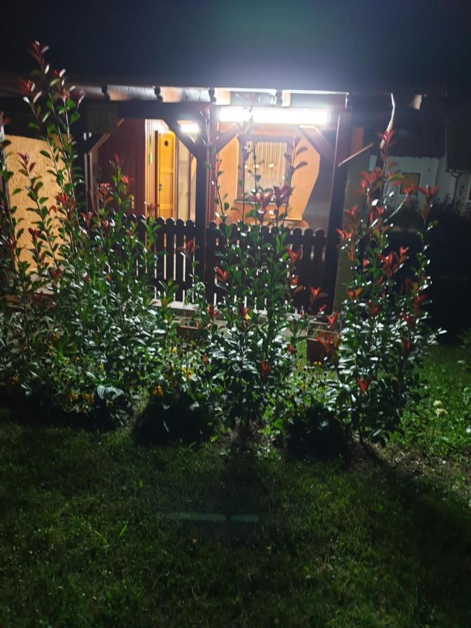 Terme Catez Apartma Nine Catez ob Savi Exteriör bild